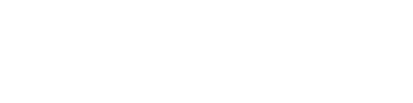Vento logo — No Vuln client